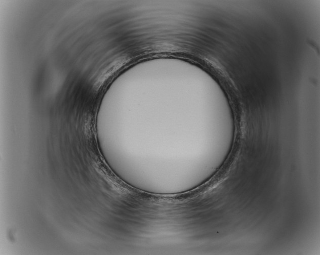 X0000099320873200805161358