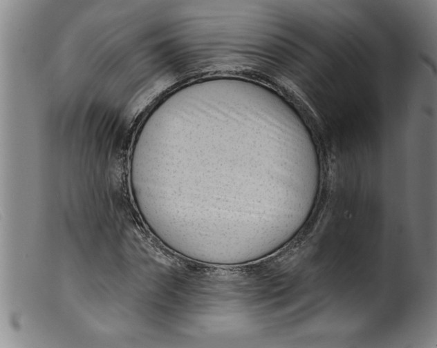 X0000099320874200805161358