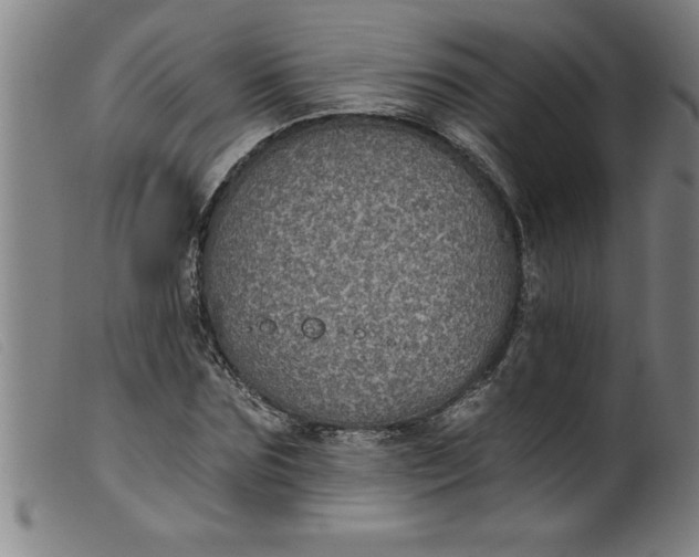 X0000099320875200805161358