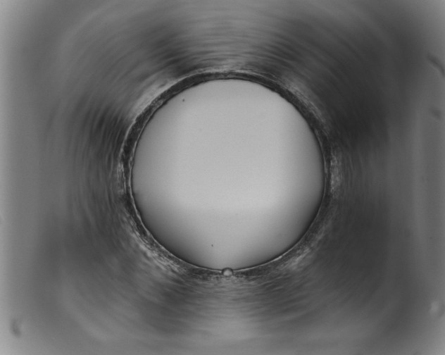 X0000099320876200805161358