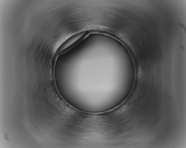 X0000099320877200805161358