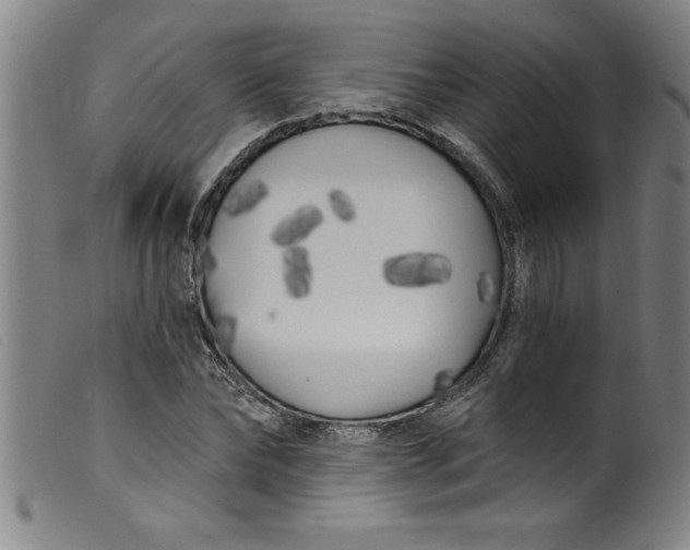 X0000099320878200805161358