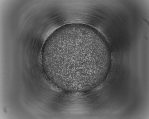 X0000099320879200805161358