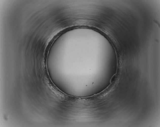 X0000099320880200805161358