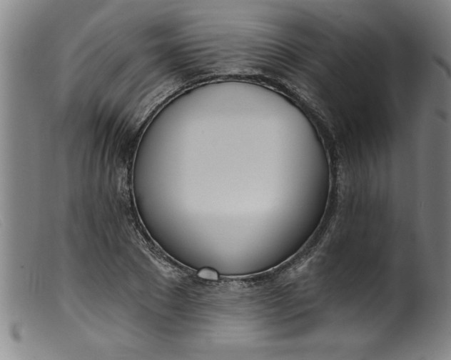 X0000099320881200805161358