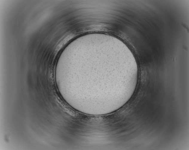 X0000099320882200805161358