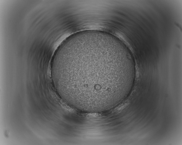 X0000099320883200805161358