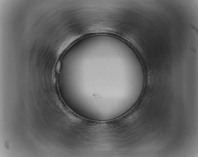 X0000099320885200805161358