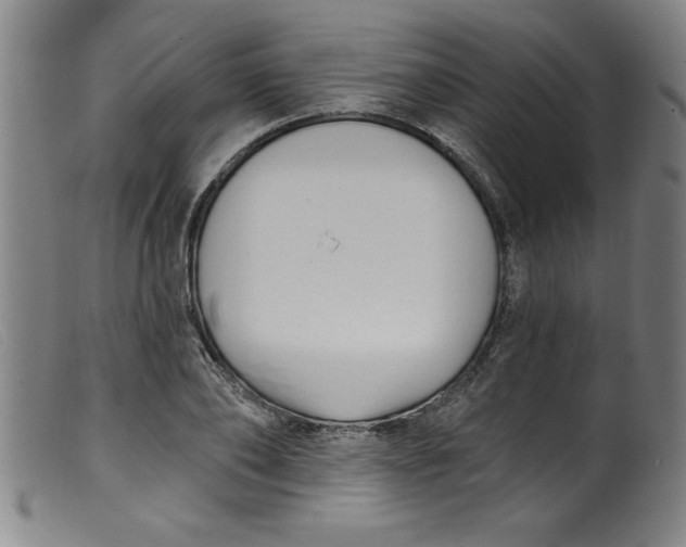 X0000099320886200805161358