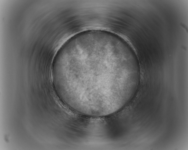 X0000099320887200805161358