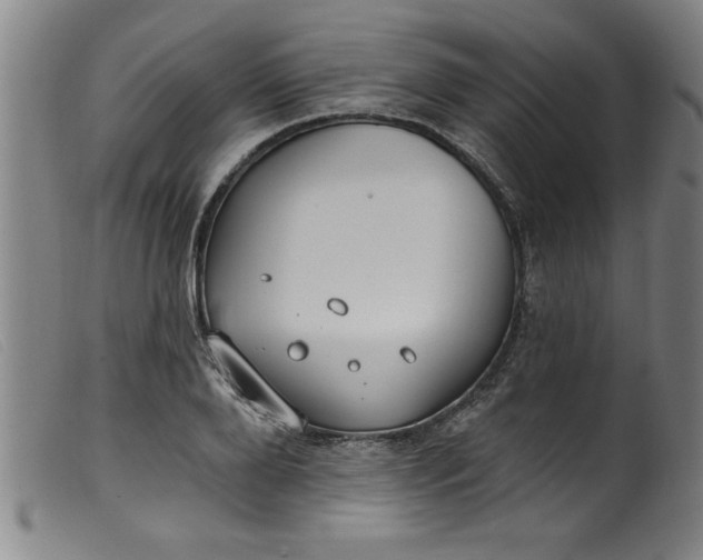 X0000099320888200805161358