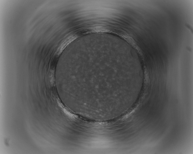 X0000099320889200805161358