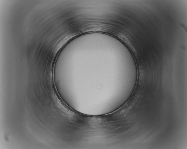 X0000099320890200805161358