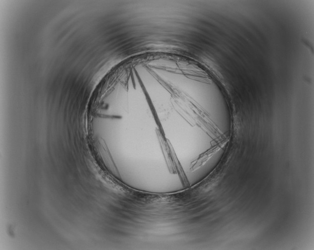 X0000099320891200805161358