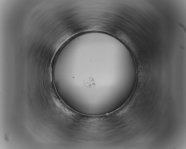 X0000099320892200805161358