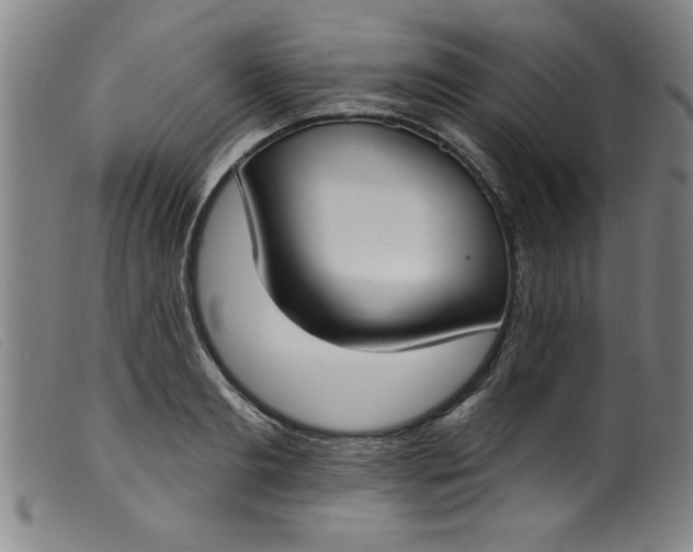 X0000099320893200805161358