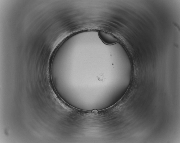 X0000099320894200805161358