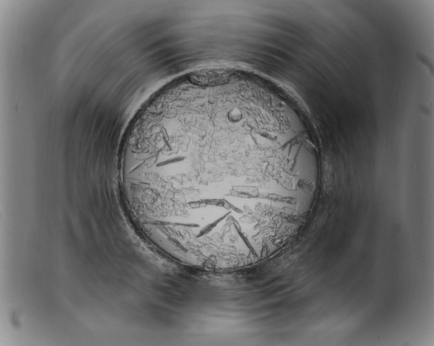 X0000099320895200805161358