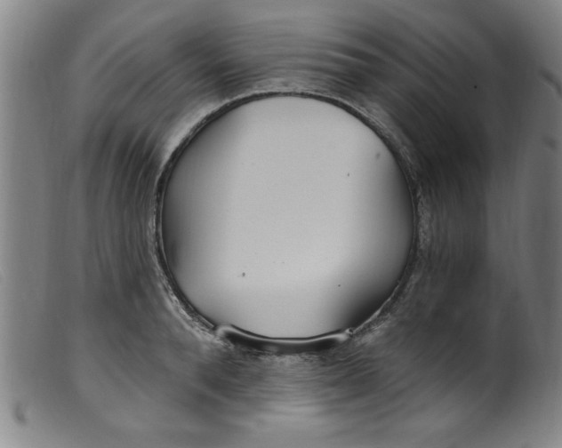 X0000099320896200805161358