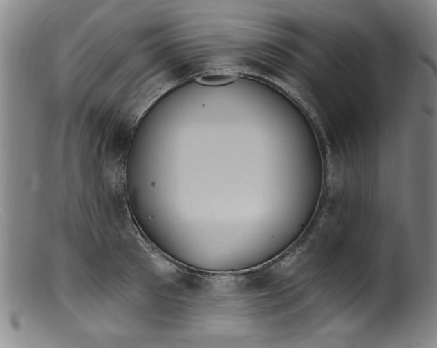 X0000099320897200805161358