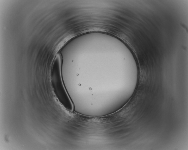 X0000099320898200805161358