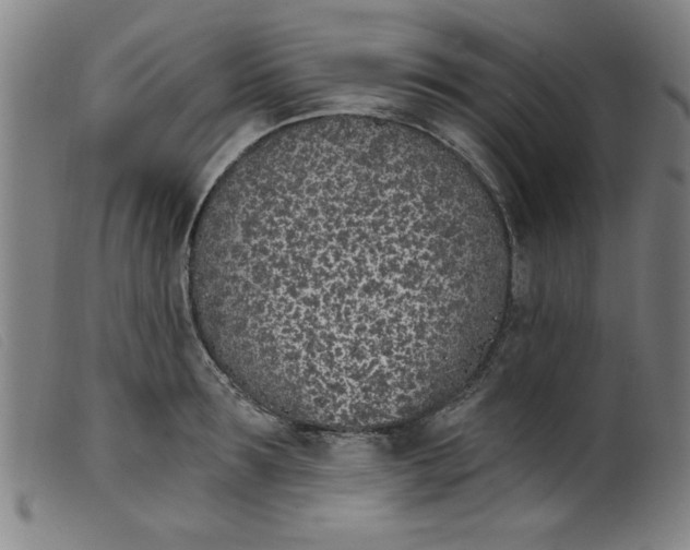 X0000099320899200805161358