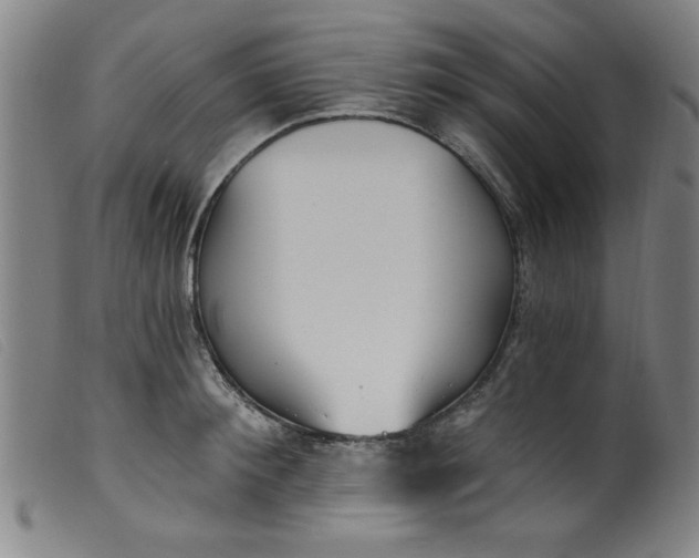 X0000099320900200805161358