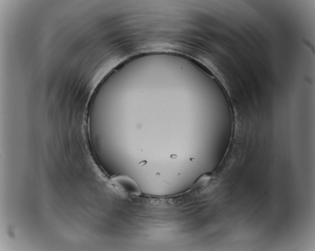 X0000099320901200805161358