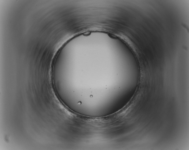 X0000099320902200805161358