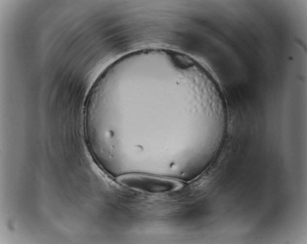 X0000099320903200805161358