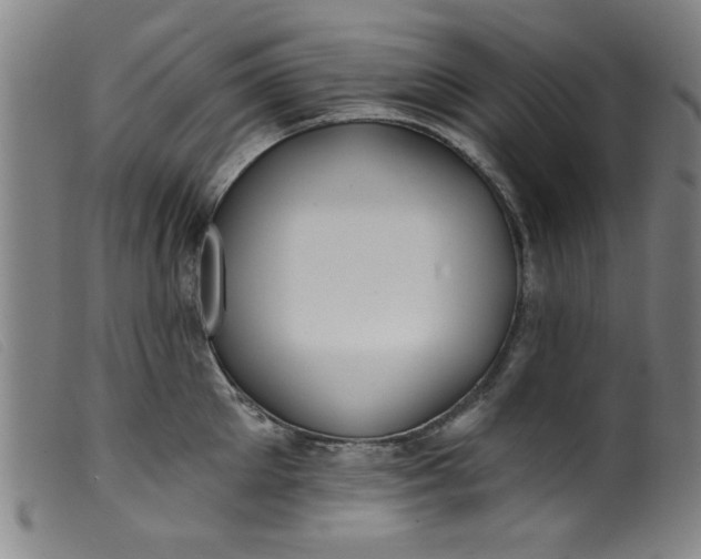 X0000099320905200805161358