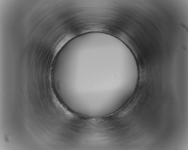 X0000099320906200805161358