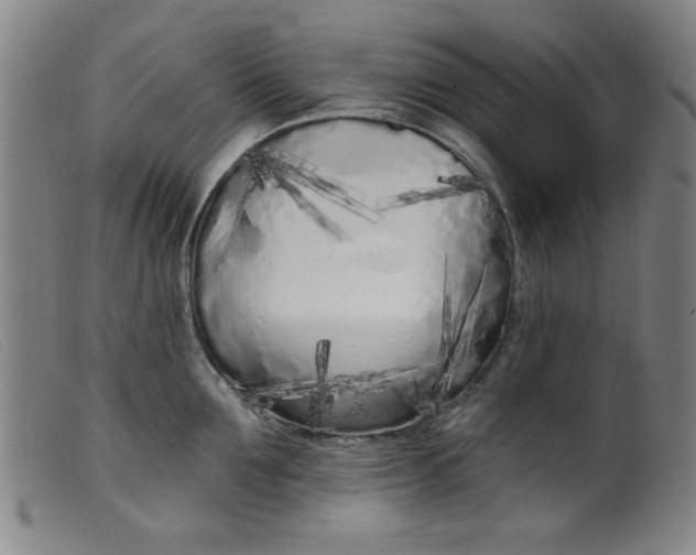 X0000099320907200805161358