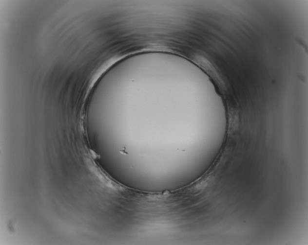 X0000099320908200805161358