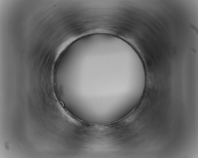 X0000099320910200805161358