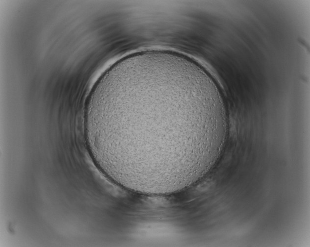 X0000099320911200805161358