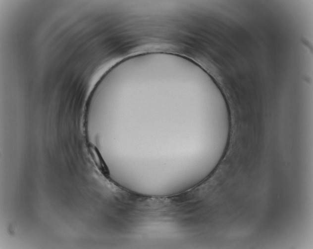 X0000099320912200805161358