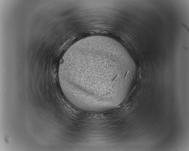 X0000099320915200805161357