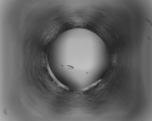 X0000099320916200805161357