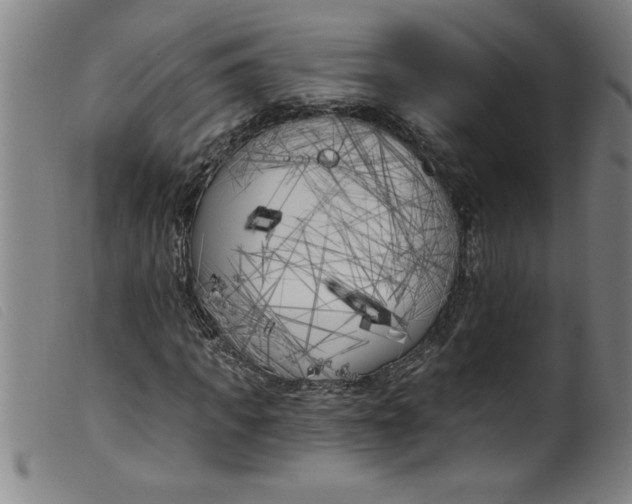 X0000099320917200805161357