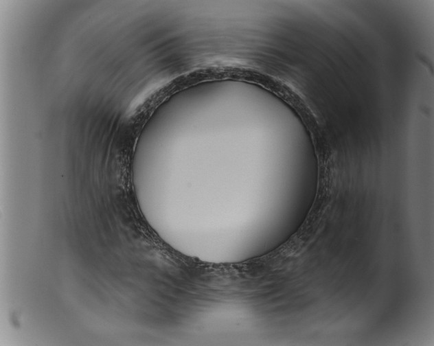 X0000099320919200805161357