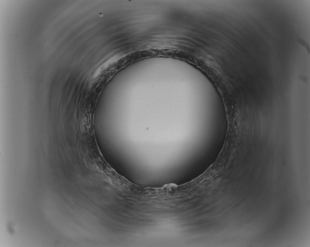 X0000099320920200805161357