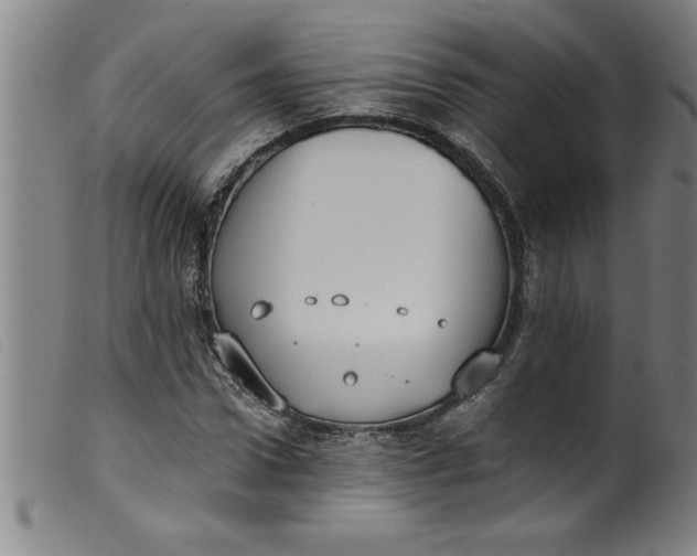 X0000099320922200805161357