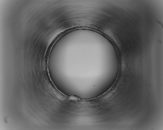 X0000099320924200805161357