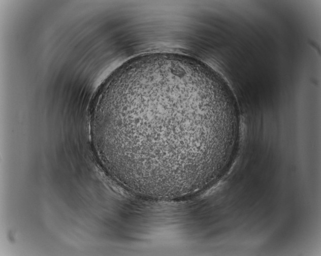 X0000099320925200805161357