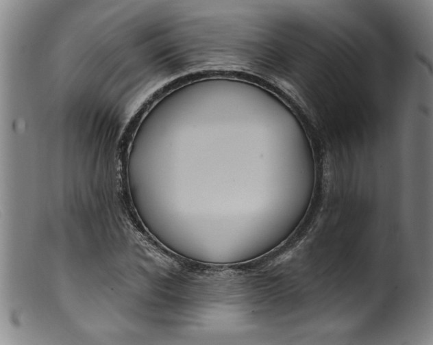 X0000099320926200805161357