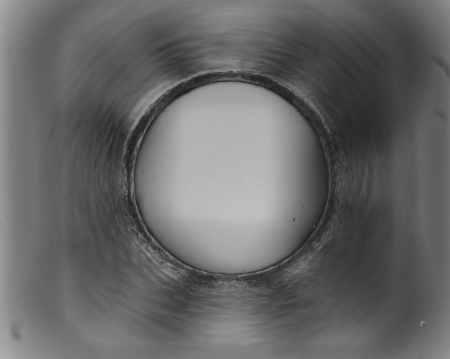 X0000099320927200805161357