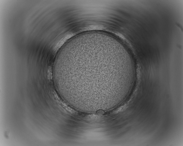 X0000099320929200805161357