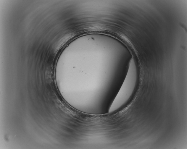 X0000099320930200805161357