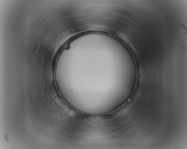 X0000099320931200805161357